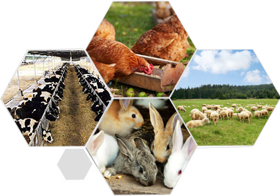 完善服務(wù)體系 合作無(wú)憂 完善服務(wù)體系 合作無(wú)憂